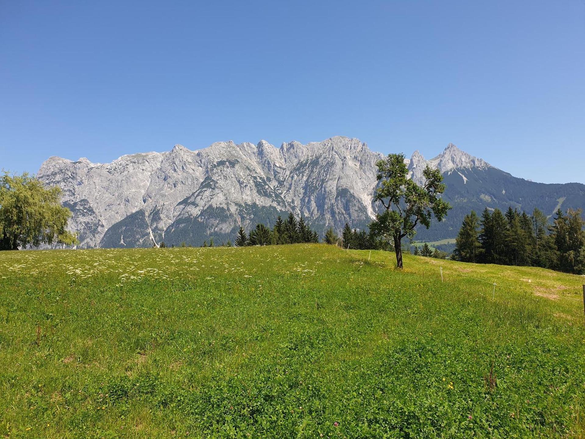 Mountain Residence Riesgut Werfen Extérieur photo